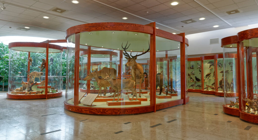 Mátramúzeum - Természettudományi pavilon
